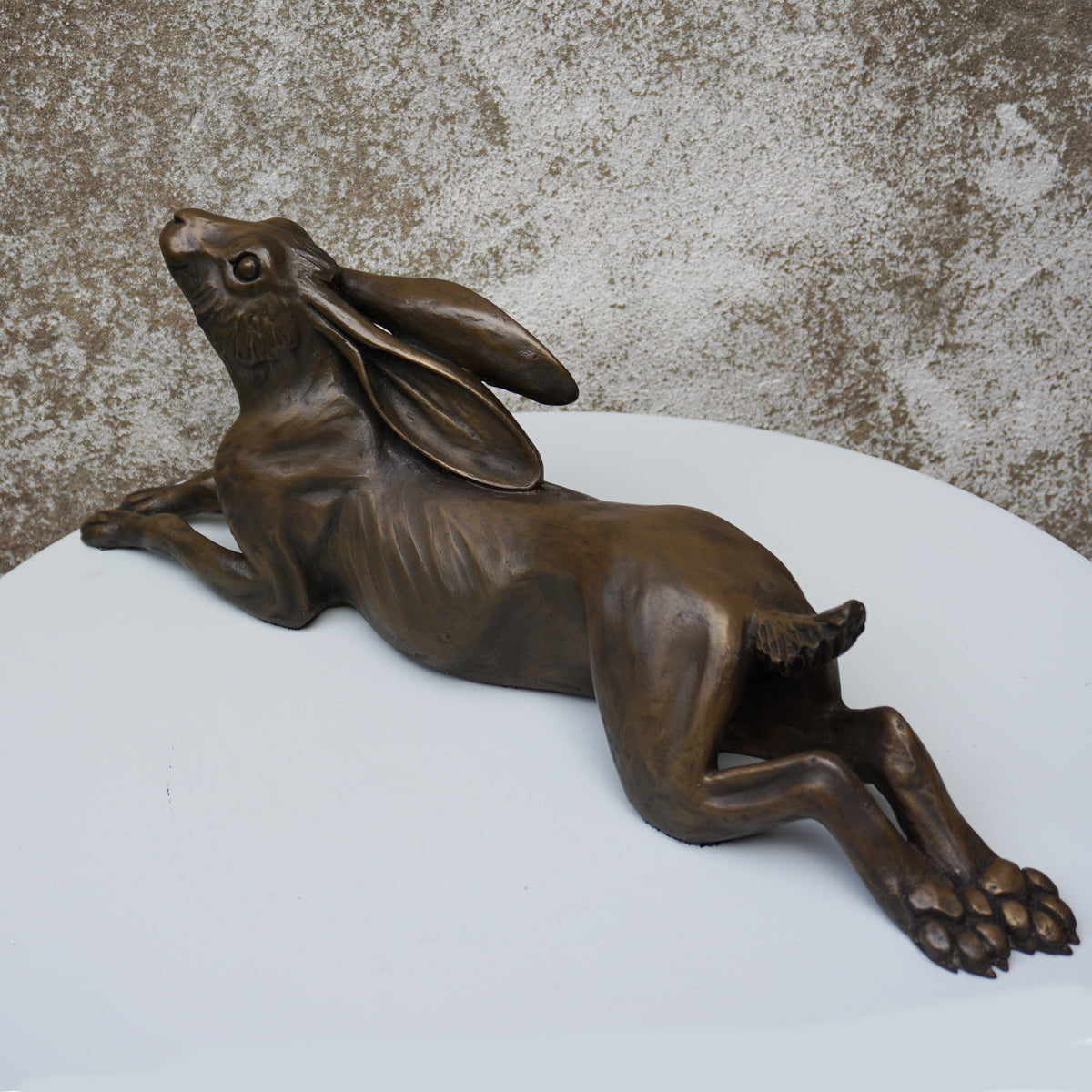Long Relaxing Hare