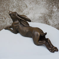 Long Relaxing Hare