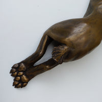 Long Relaxing Hare
