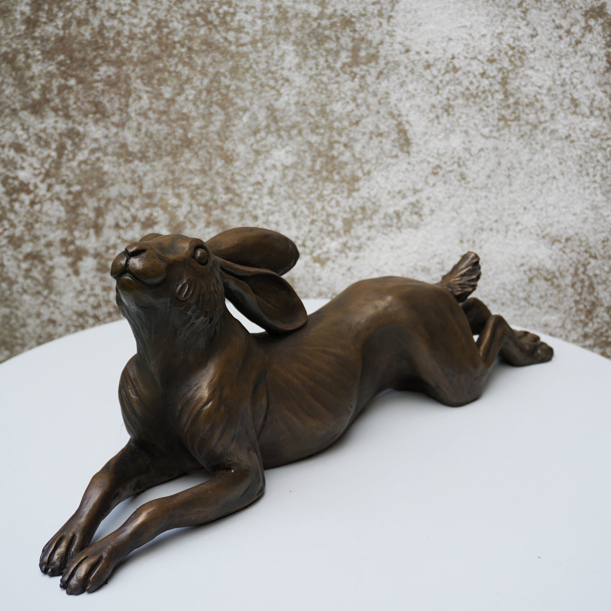 Long Relaxing Hare