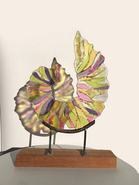 Fused Glass Ammonite