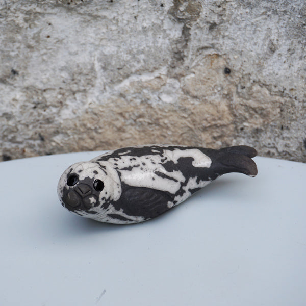 Grey Seal Pup