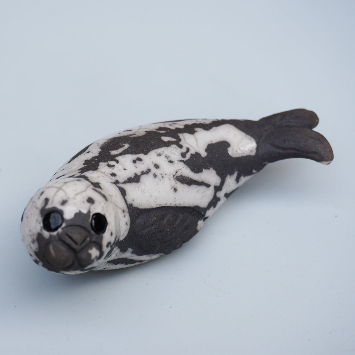 Grey Seal Pup