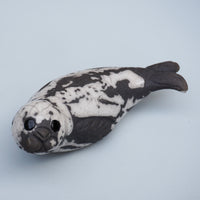 Grey Seal Pup