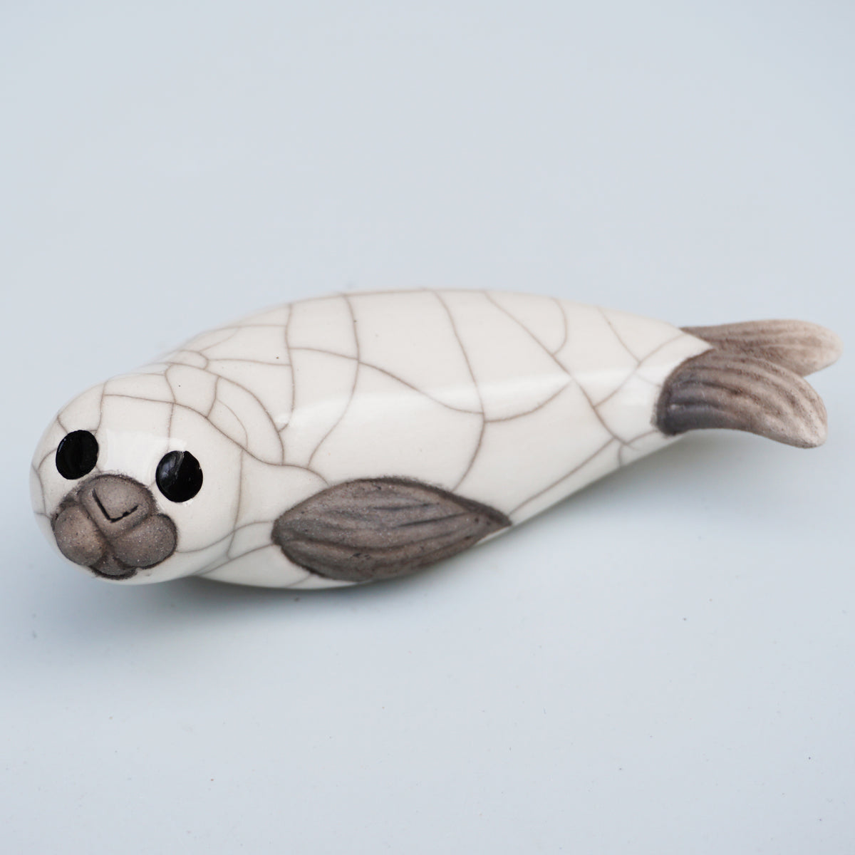White Seal Pup