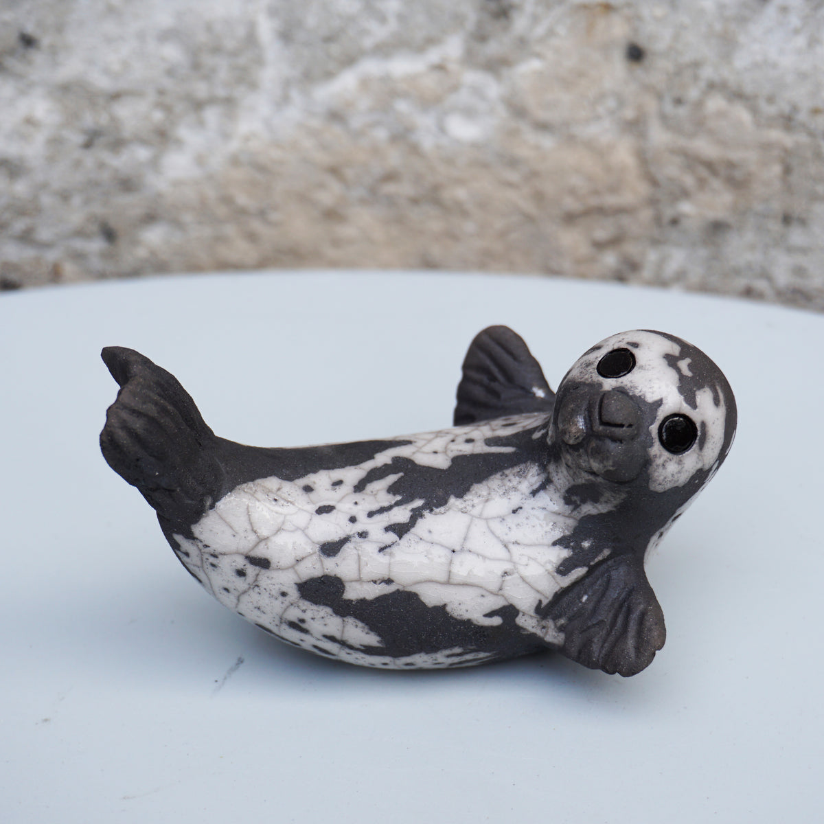 Grey Seal Pup