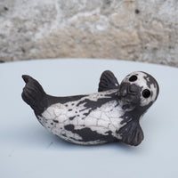 Grey Seal Pup