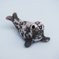 Grey Seal Pup