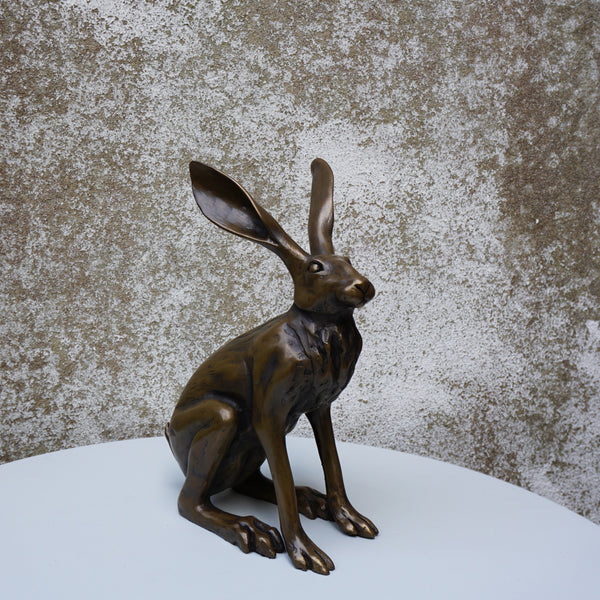 Sitting Hare