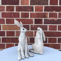 Medium Hare Moon Gazing