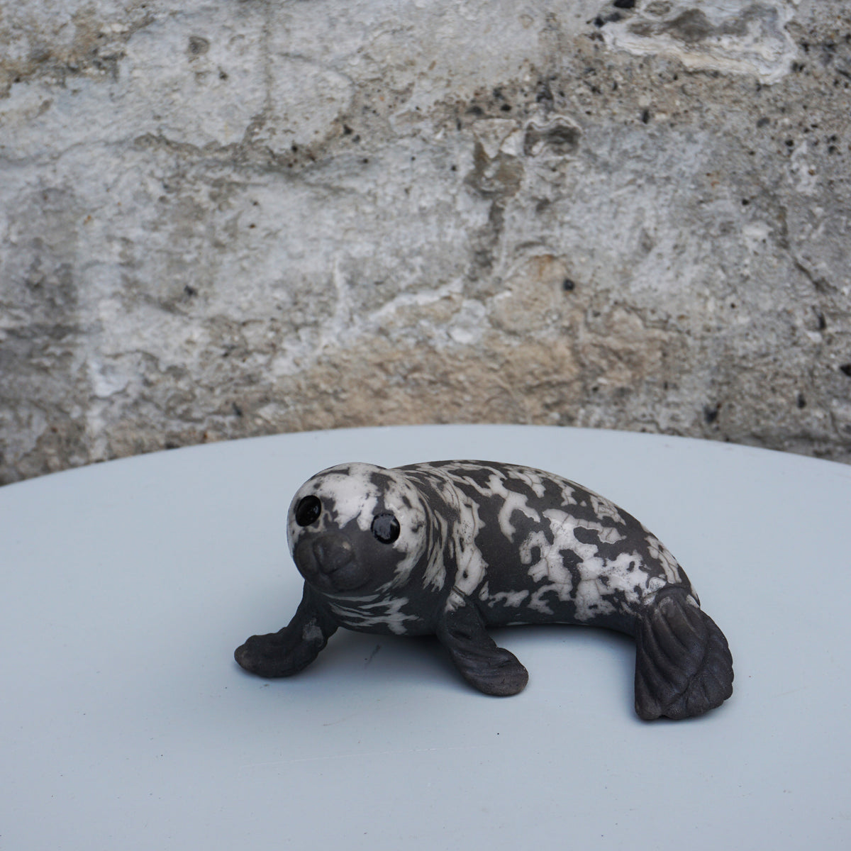 Grey Seal Curled