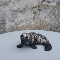 Grey Seal Curled