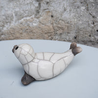White Seal Pup