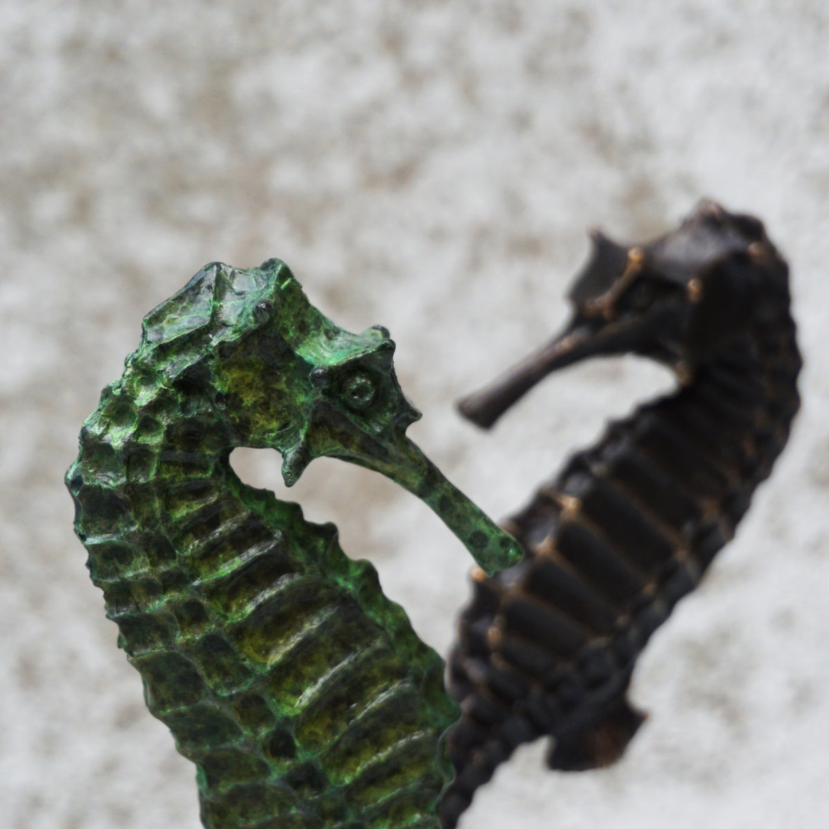 Seahorse - Limited Edition