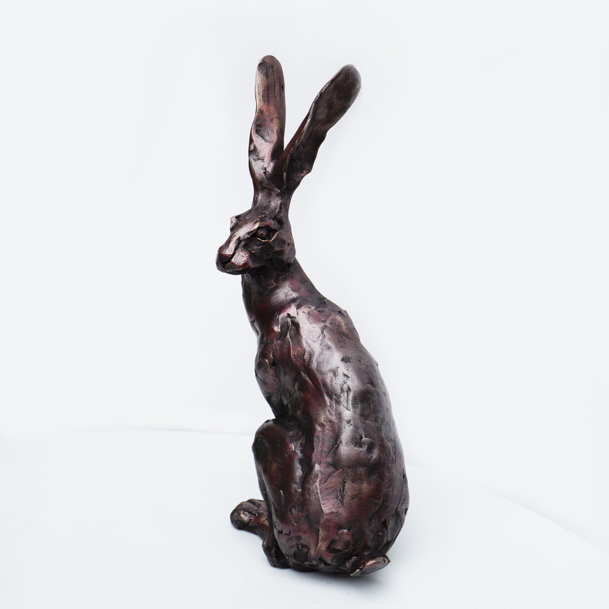 Spring Hare