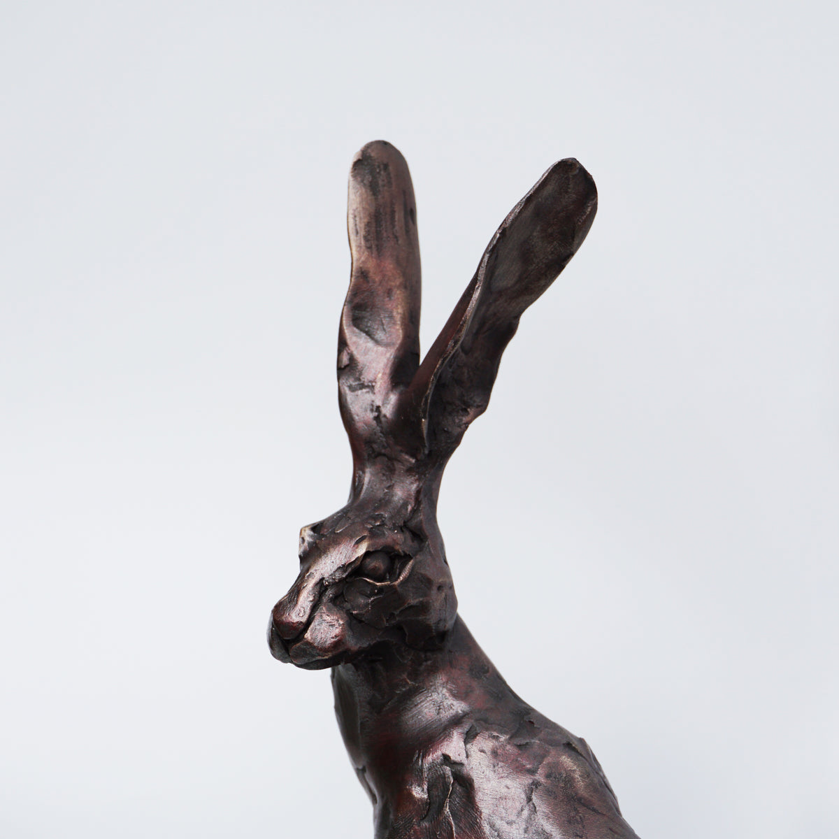 Spring Hare