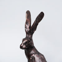 Spring Hare