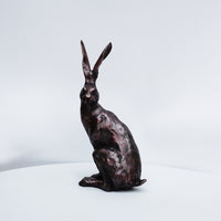 Spring Hare