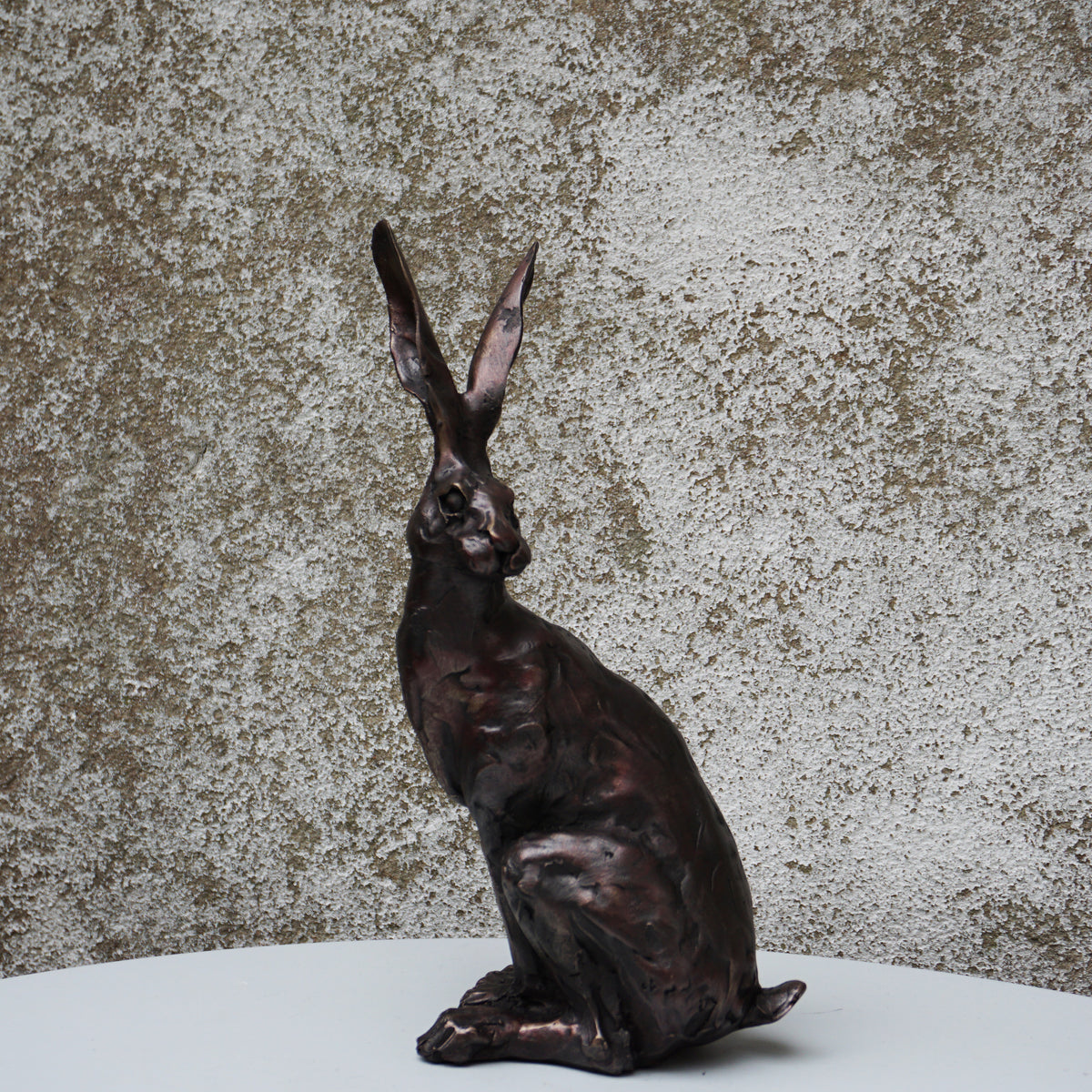 Spring Hare