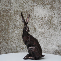 Spring Hare