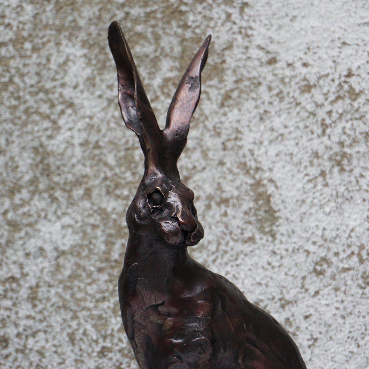 Spring Hare