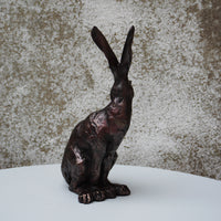 Spring Hare