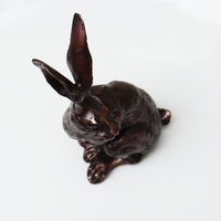 Spring Hare