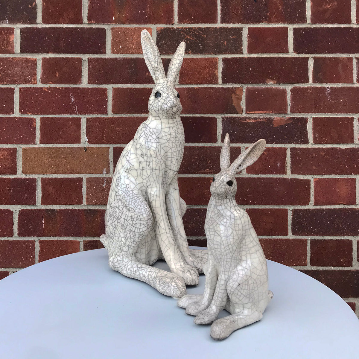Medium Sitting Hare