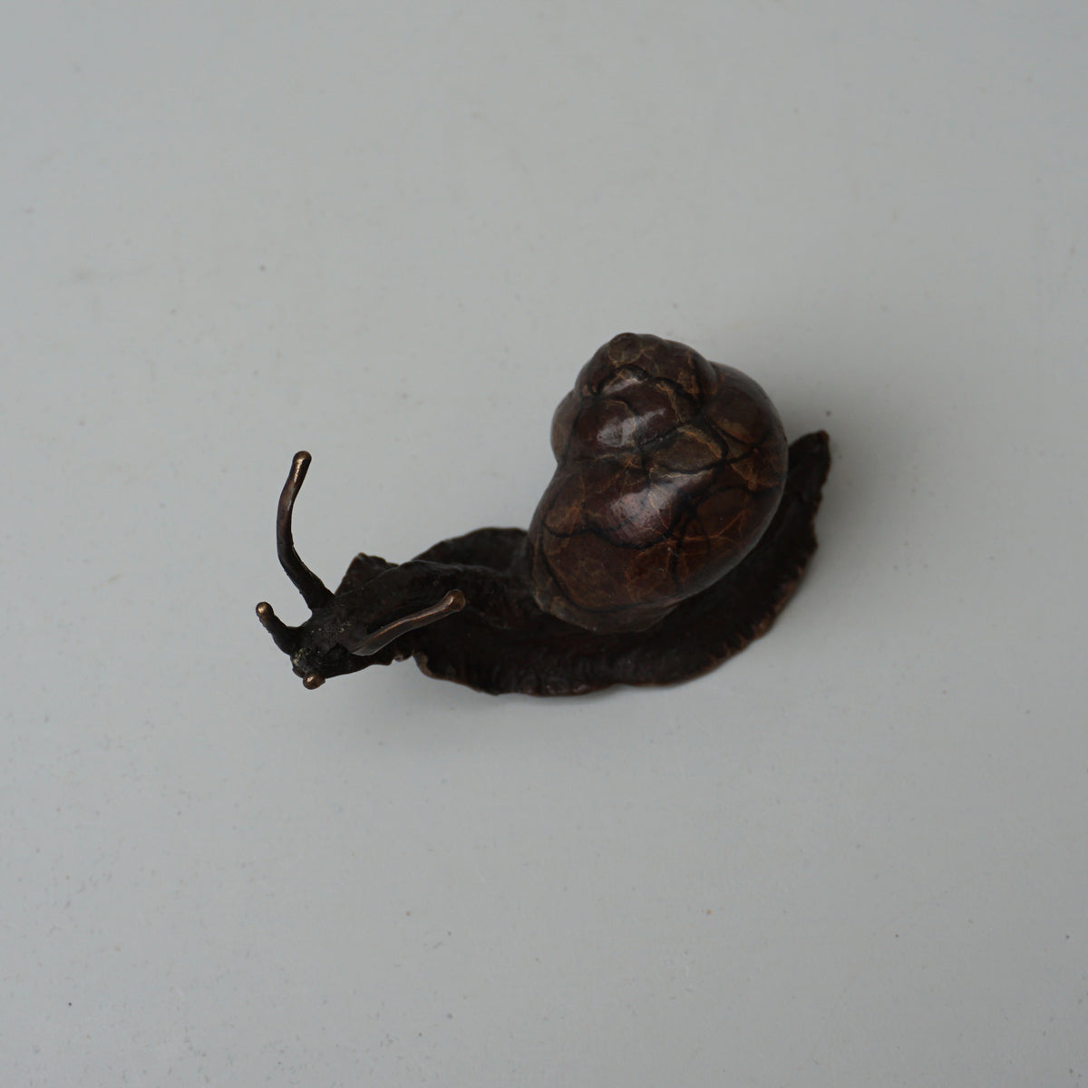 Snail - Small