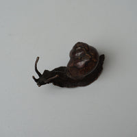 Snail - Small
