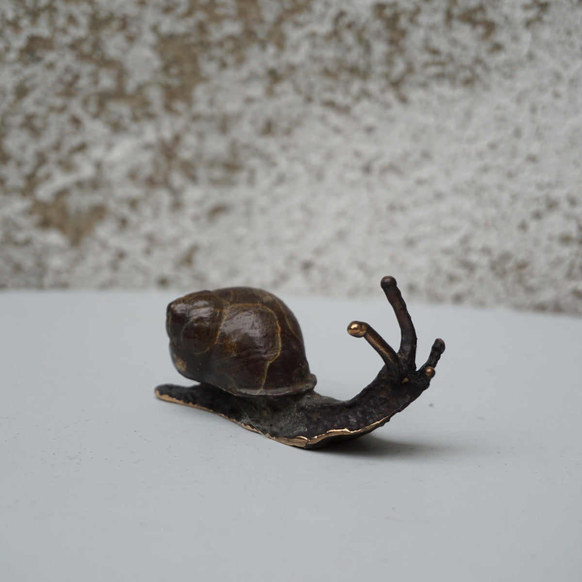 Snail - Small