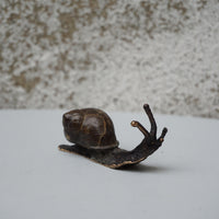Snail - Small