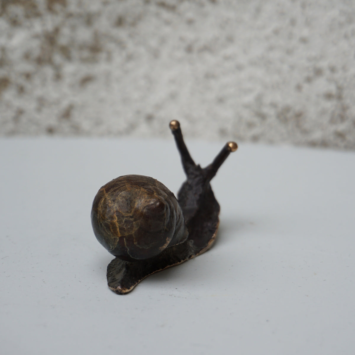 Snail - Small