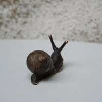 Snail - Small