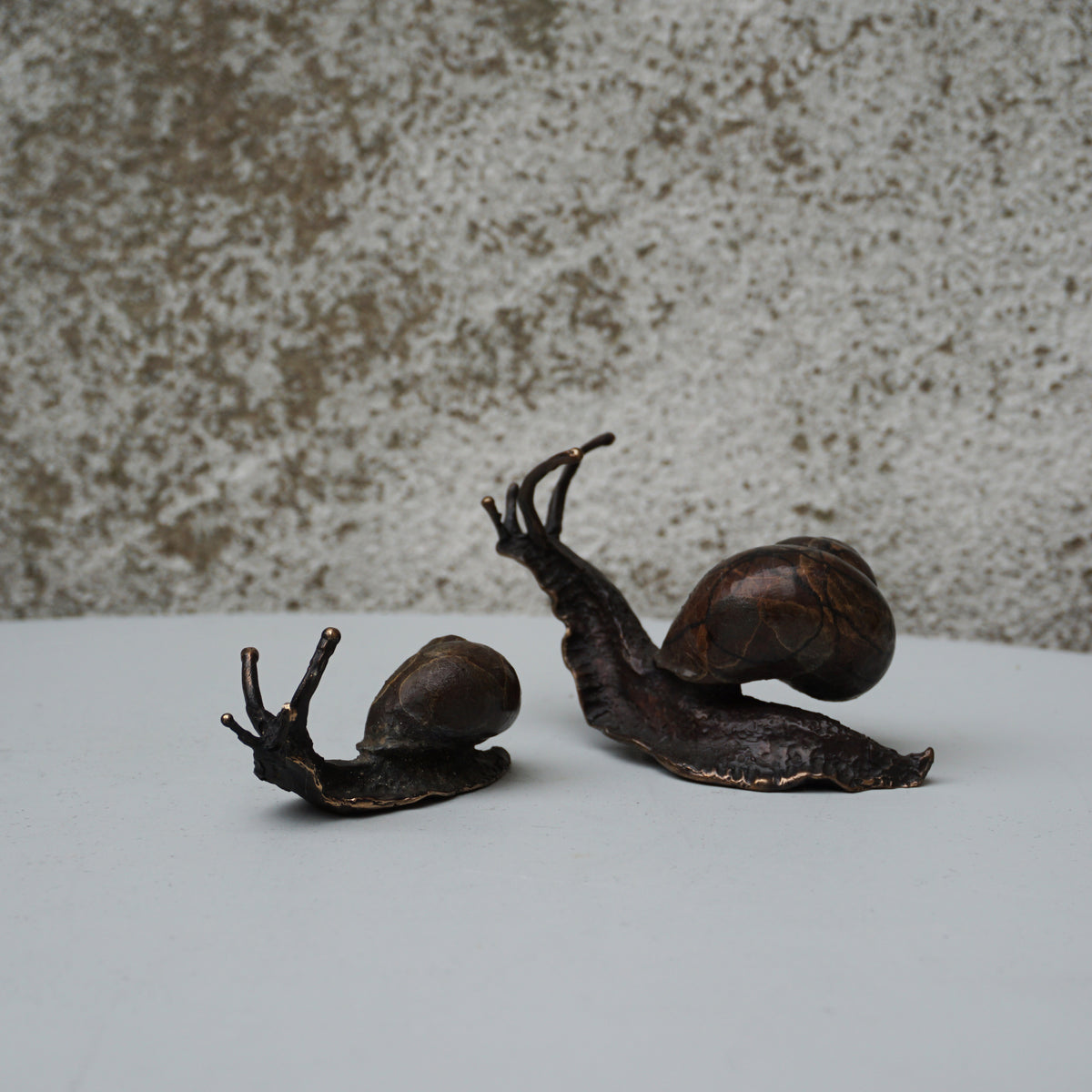 Snail - Medium
