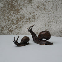 Snail - Small