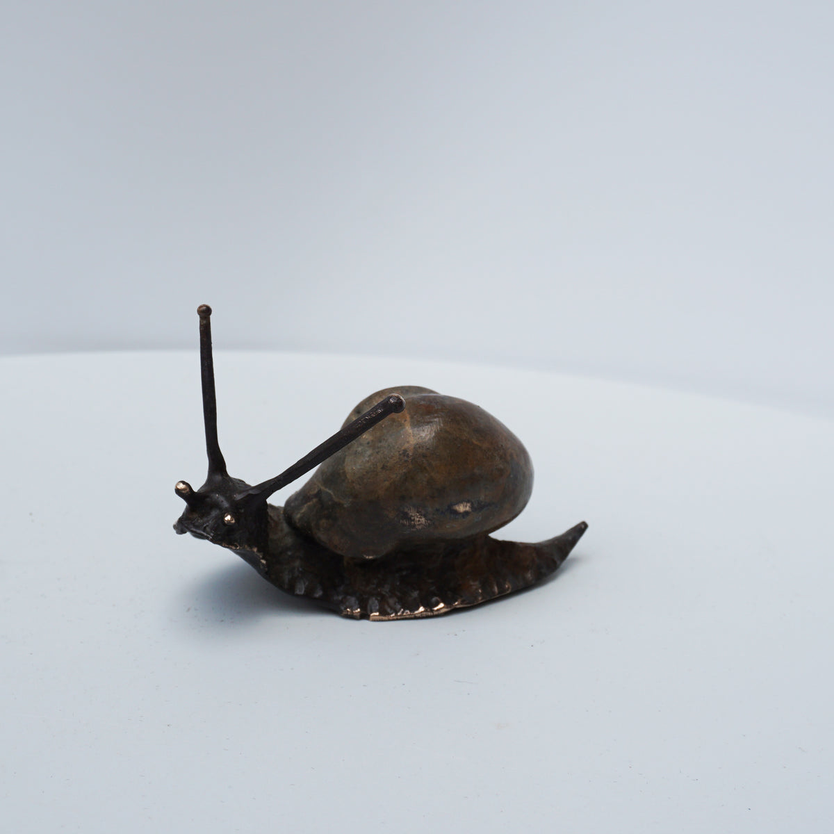 Snail - Large