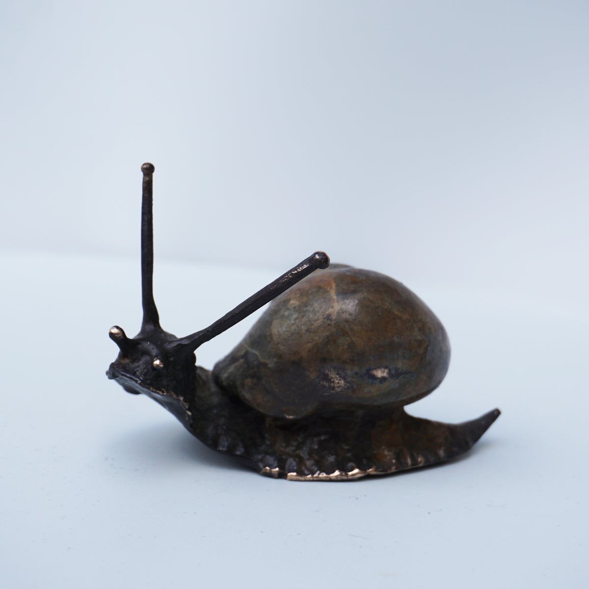 Snail - Large