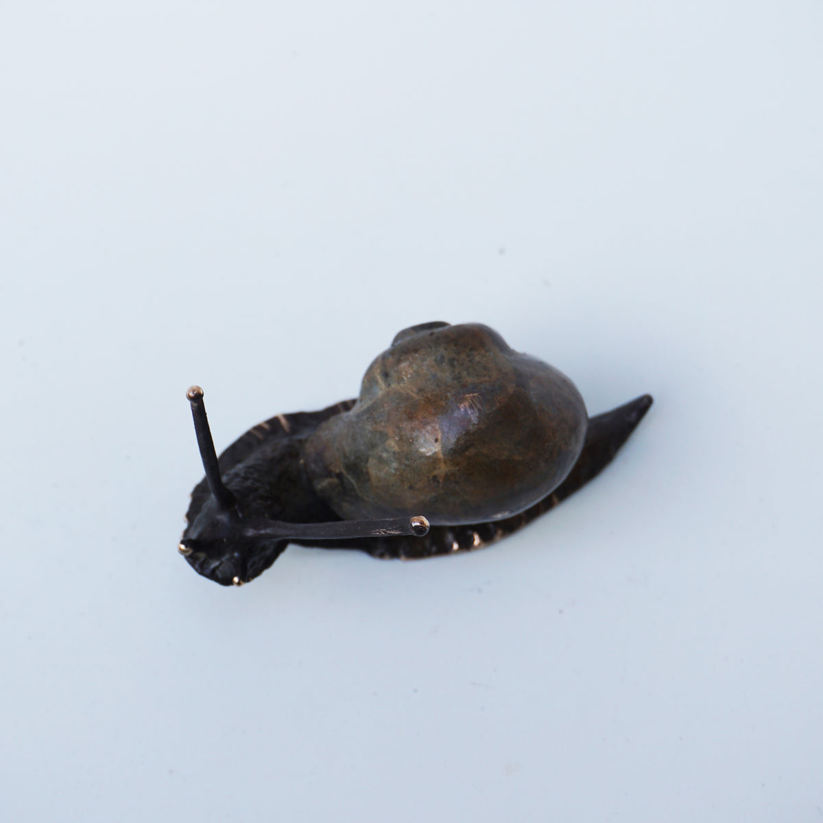 Snail - Large