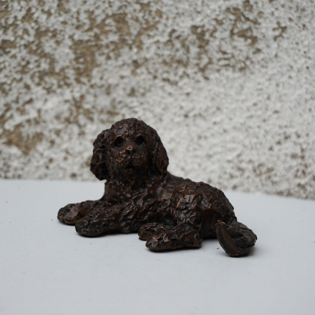 Cockapoo Lying (Solid Bronze)