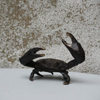 Crab