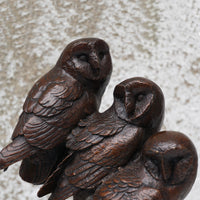 Watchful - Three Barn Owls