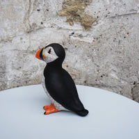 Puffin Standing