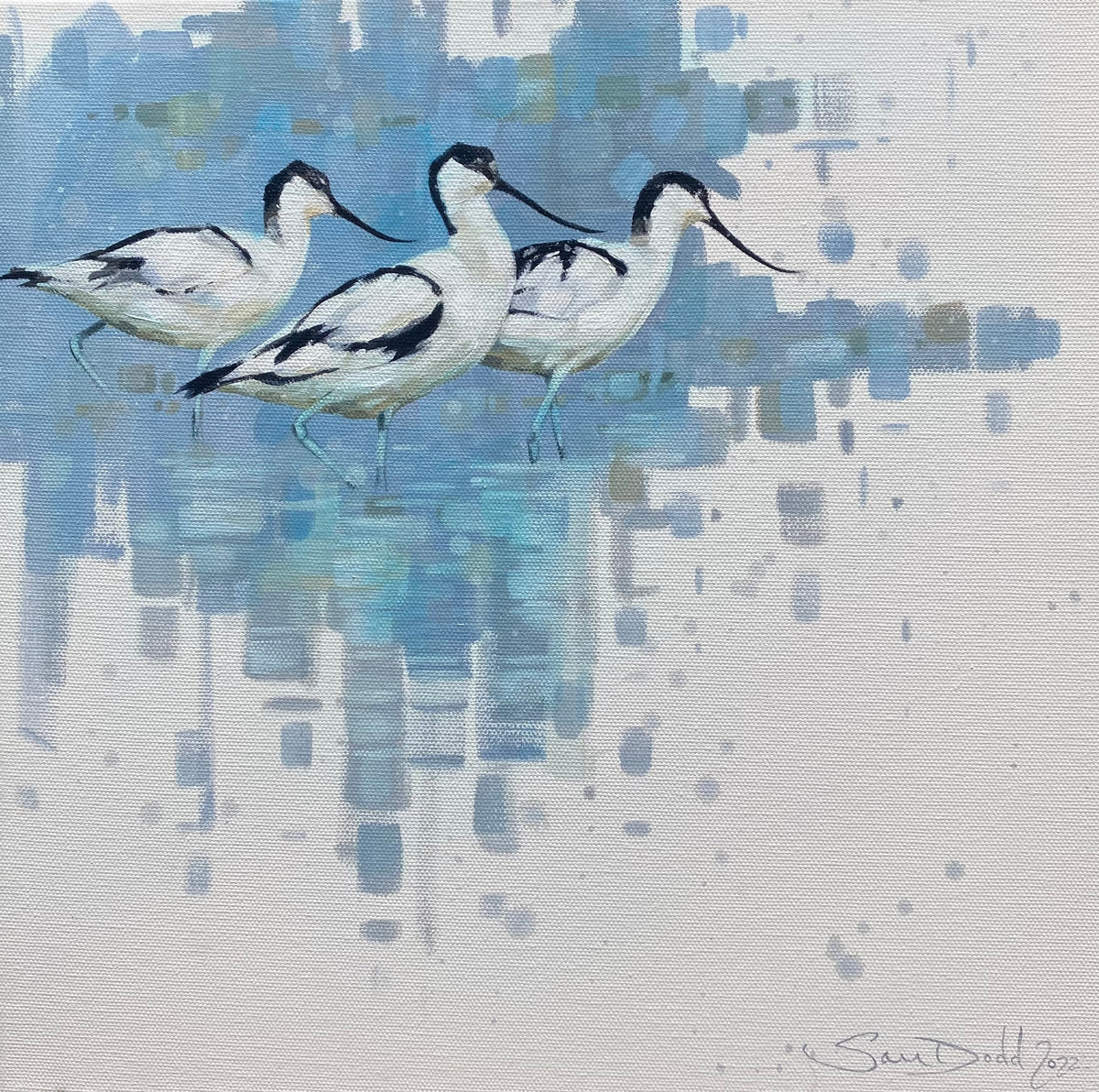Three Avocets