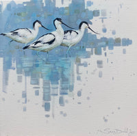Three Avocets