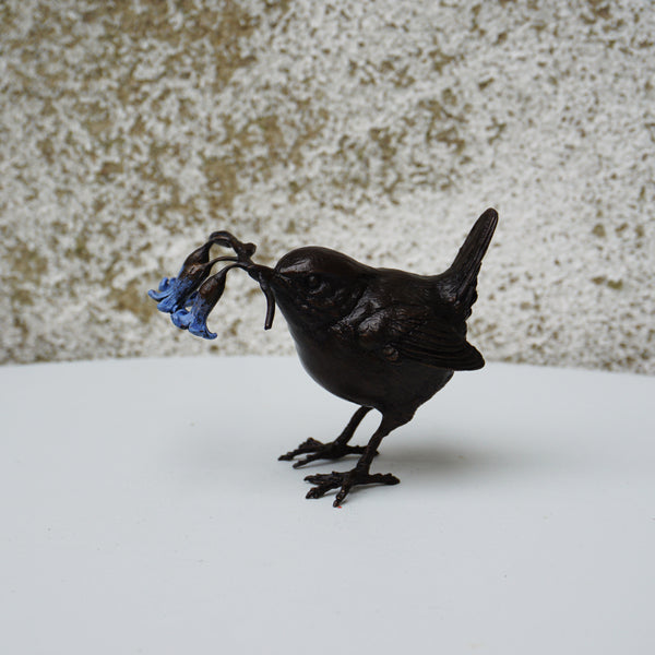 Wren with Bluebells