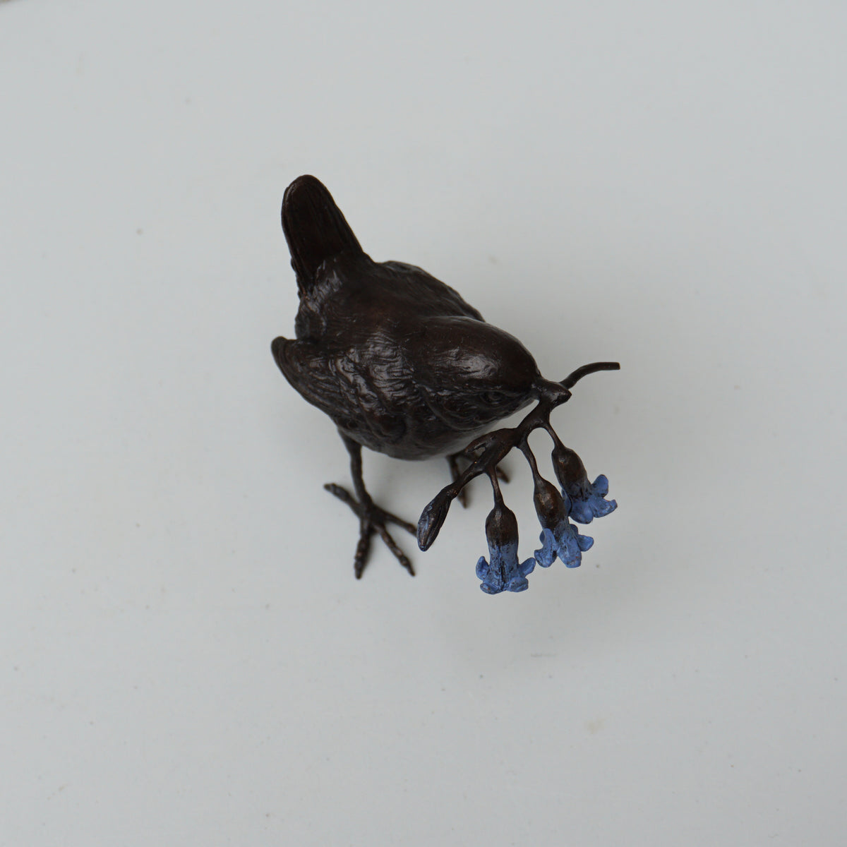 Wren with Bluebells