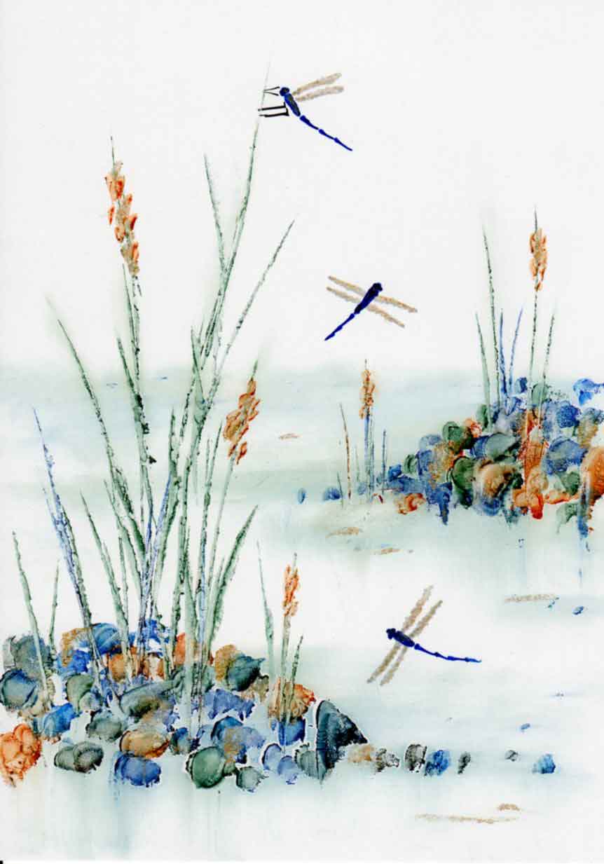 Dragonfly Summer (Limited Edition Print)
