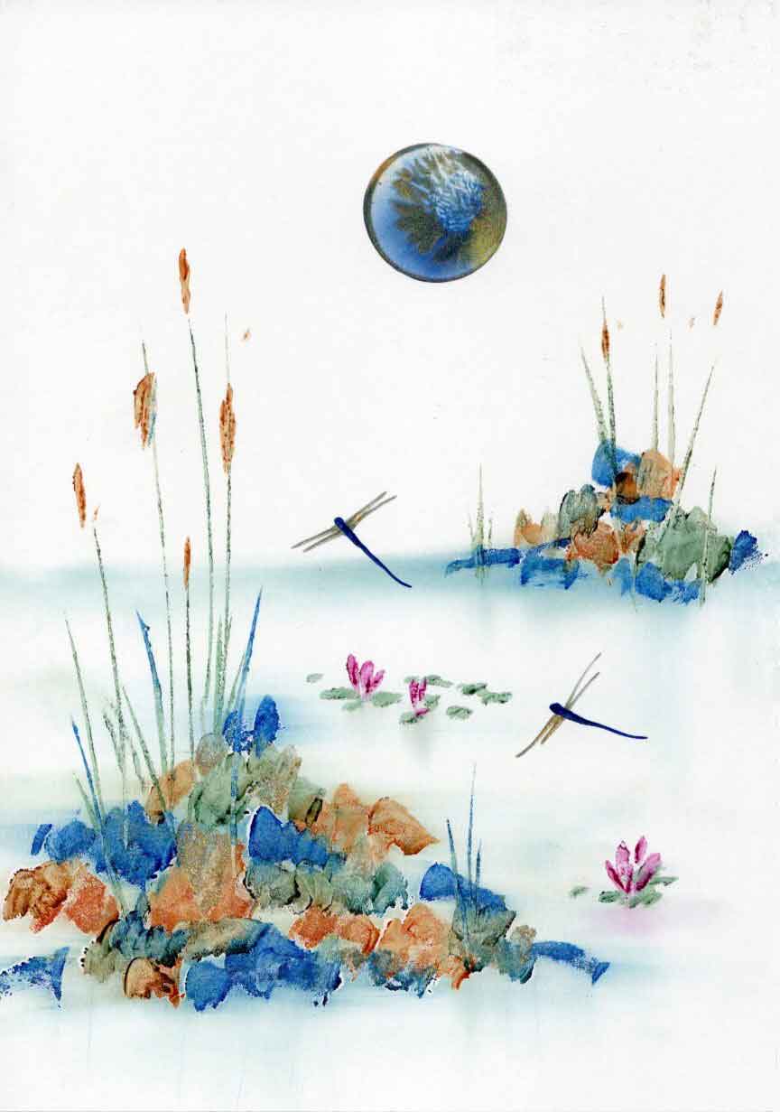 Blue Moon Dragonflies
