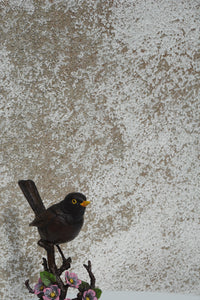 Blackbird with Blossom